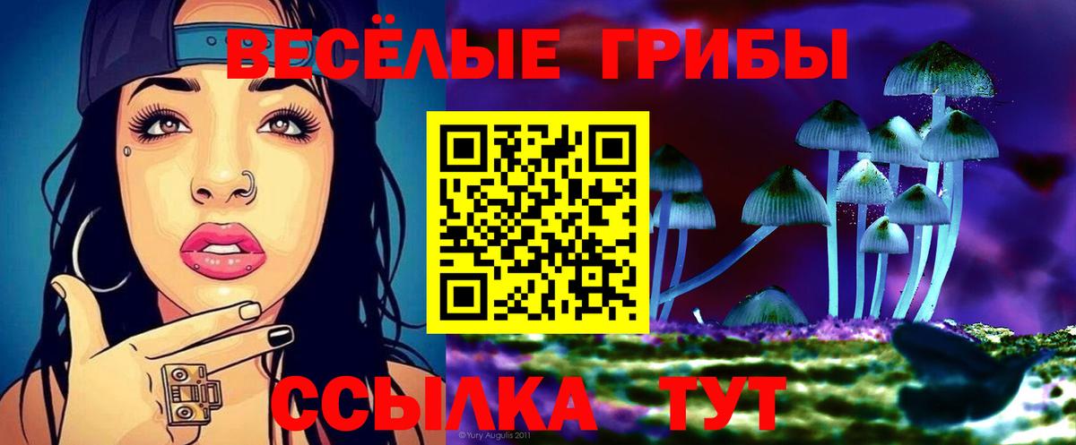 Псилоцибиновые грибы мухоморы  Вход с VPN  даркнет сайт  Алейск 
